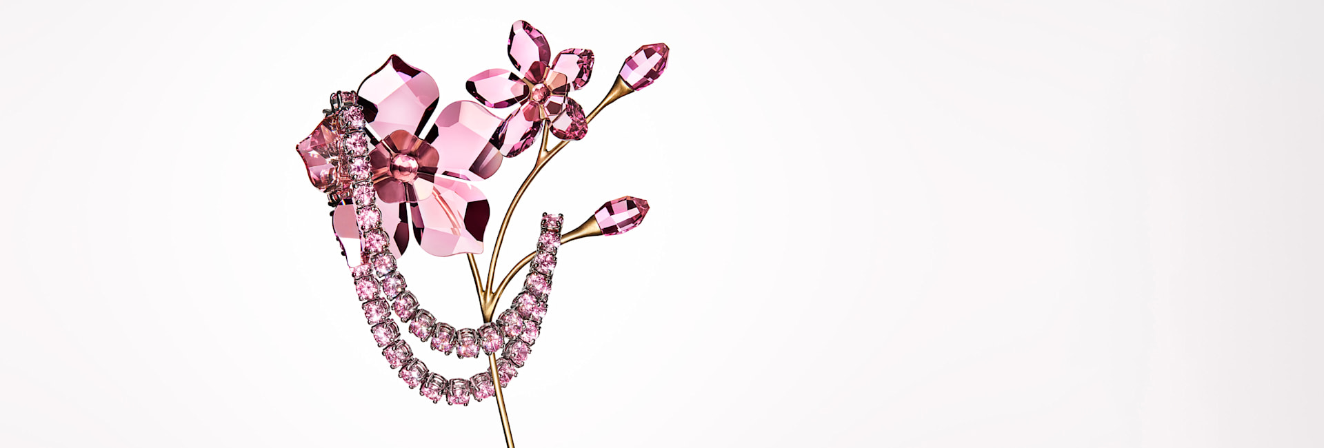 Flowers Reimagined - Image Desk