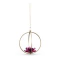 Garden-Tales-Decoracion-Bola-de-rosas-Grande